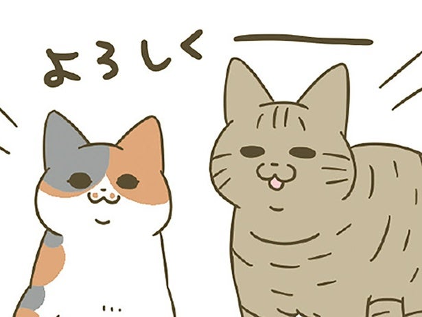 保護猫カフェからやってきた猫たち。「ダテちゃん」「ビッケ」2匹の名前の由来は？