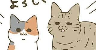保護猫カフェからやってきた猫たち。「ダテちゃん」「ビッケ」2匹の名前の由来は？
