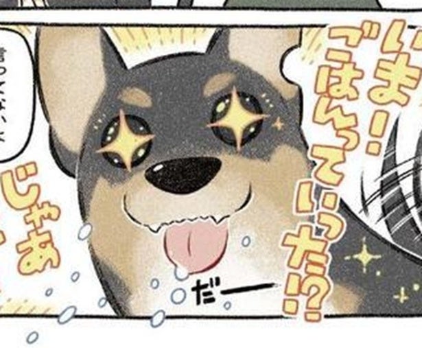パニック障害で引きこもり「犬は無理」→ドーベルマンを飼ったら…劇的すぎる肉体の変化に驚愕【作者に聞く】
