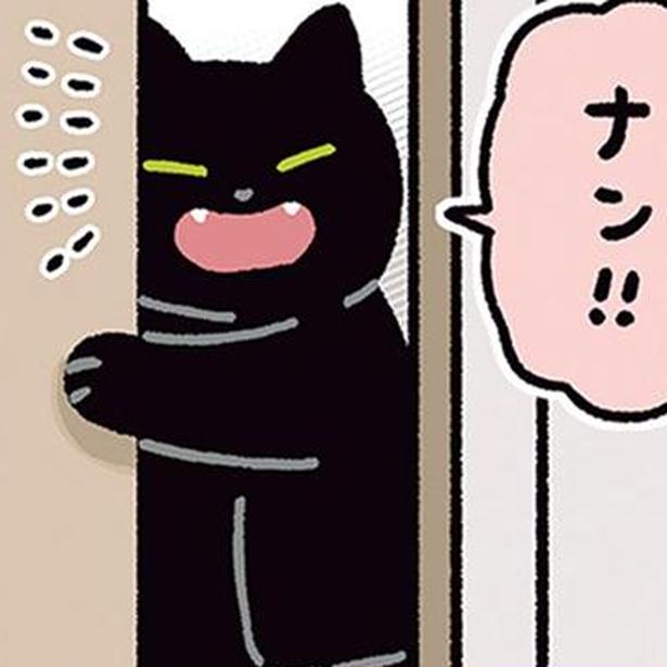 「ろん〜！どこ〜!?」呼ぶとドアを開けて返事までしてくれる黒猫ろん