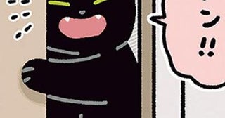 「ろん〜！どこ〜!?」呼ぶとドアを開けて返事までしてくれる黒猫ろん