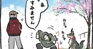 愛犬と桜の写真を撮ってたら、老人がボソリ...すれ違い様の言葉に反響「なんてジジイだ！」「渋すぎる」