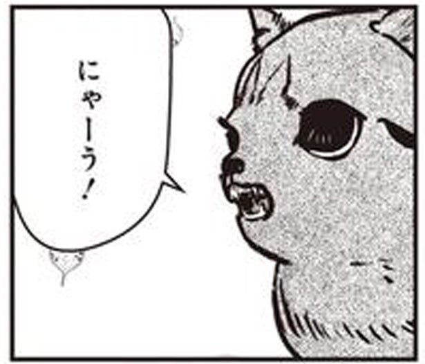 今まで独りぼっちで‥？世話をする地域猫が連れて来たボロボロの子猫／スローステップ朔太郎 上（3）