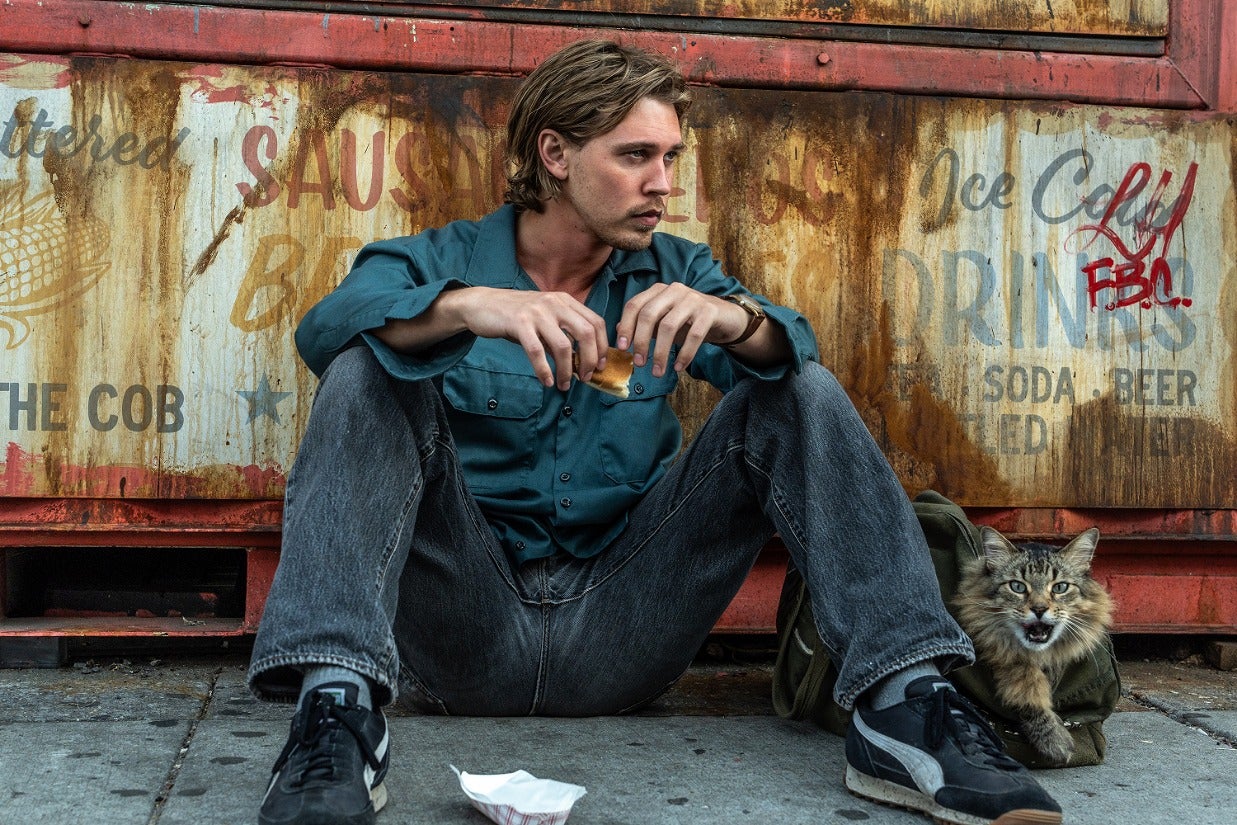 ネコの世話をするだけのはずだった男が、マフィアの標的に！ダーレン・アロノフスキー最新作「コート・スティーリング」場面写真を初披露