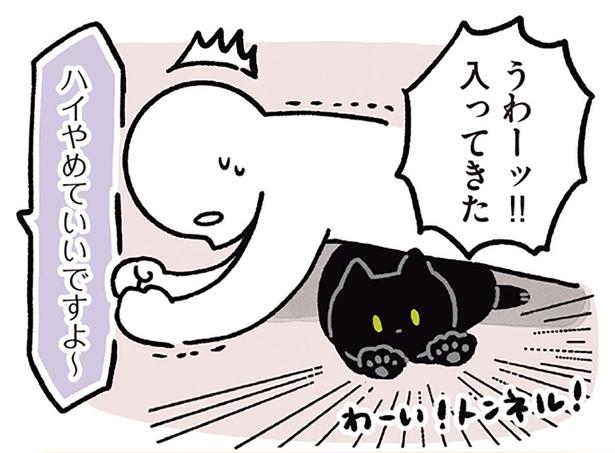 筋トレ中は要注意!?やめさせてくれない黒猫ろん
