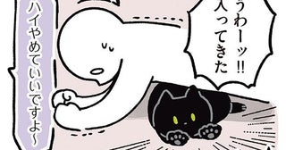 筋トレ中は要注意!?やめさせてくれない黒猫ろん