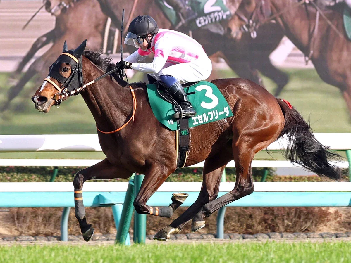 【競馬予想】コース適性とタフさが求められるオールカマーあえてこの舞台を選択した牝馬に大駆けの予感
