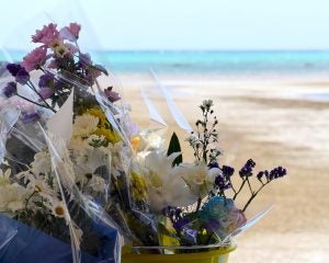 辺野古沖転覆事故にみる「平和学習」より先に見るべきこと＜山口真由＞