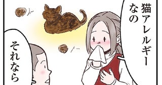 猫アレルギーの原因物質第1位は毛。お役立ちの三種の神器を使ったお掃除で対策を