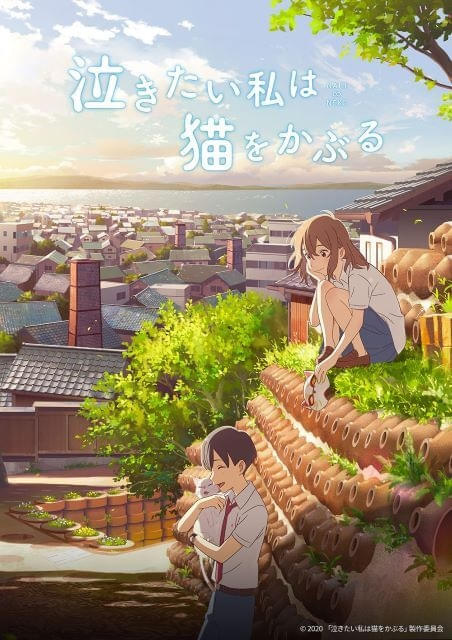 12月14日の「日曜アニメ劇場」で「泣きたい私は猫をかぶる」放送スタジオコロリド制作の青春ファンタジー
