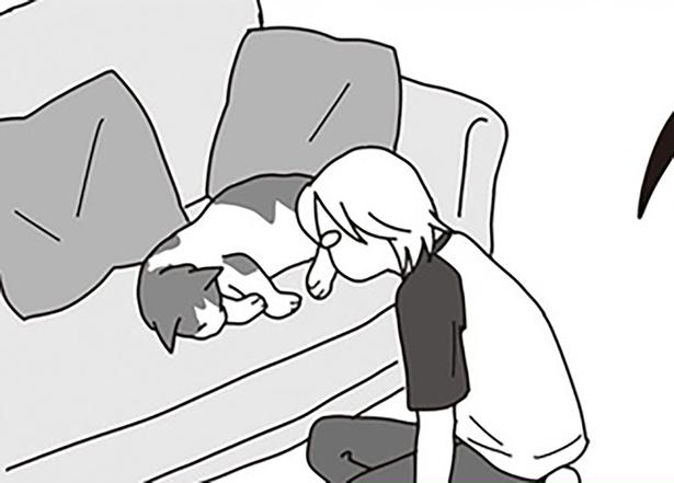不調の兆しを見せた15歳の愛猫。夏バテなのか病気なのか…／世界一幸せな飼い主にしてくれた猫（5）