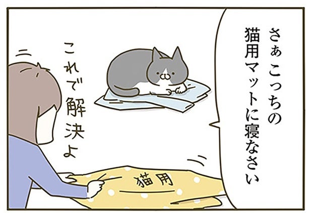 今日着る服の上に猫が！ なんとかどいてもらおうとするけれど