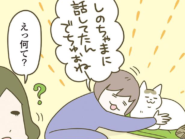 「眠そうだねえ」猫に話しかけている後ろから、返事をしたのは？