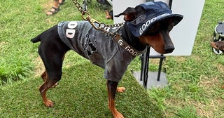 犬用アパレルブランド「MEATSHOP GOOD」が、ヴィンテージアメリカンの世界が広がる実店舗をオープン！