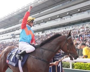 「これ絶対損しなくない？」香港競馬で“全頭を買っても利益が出る”異常オッズ…日本では単勝1.2倍が紙くずに