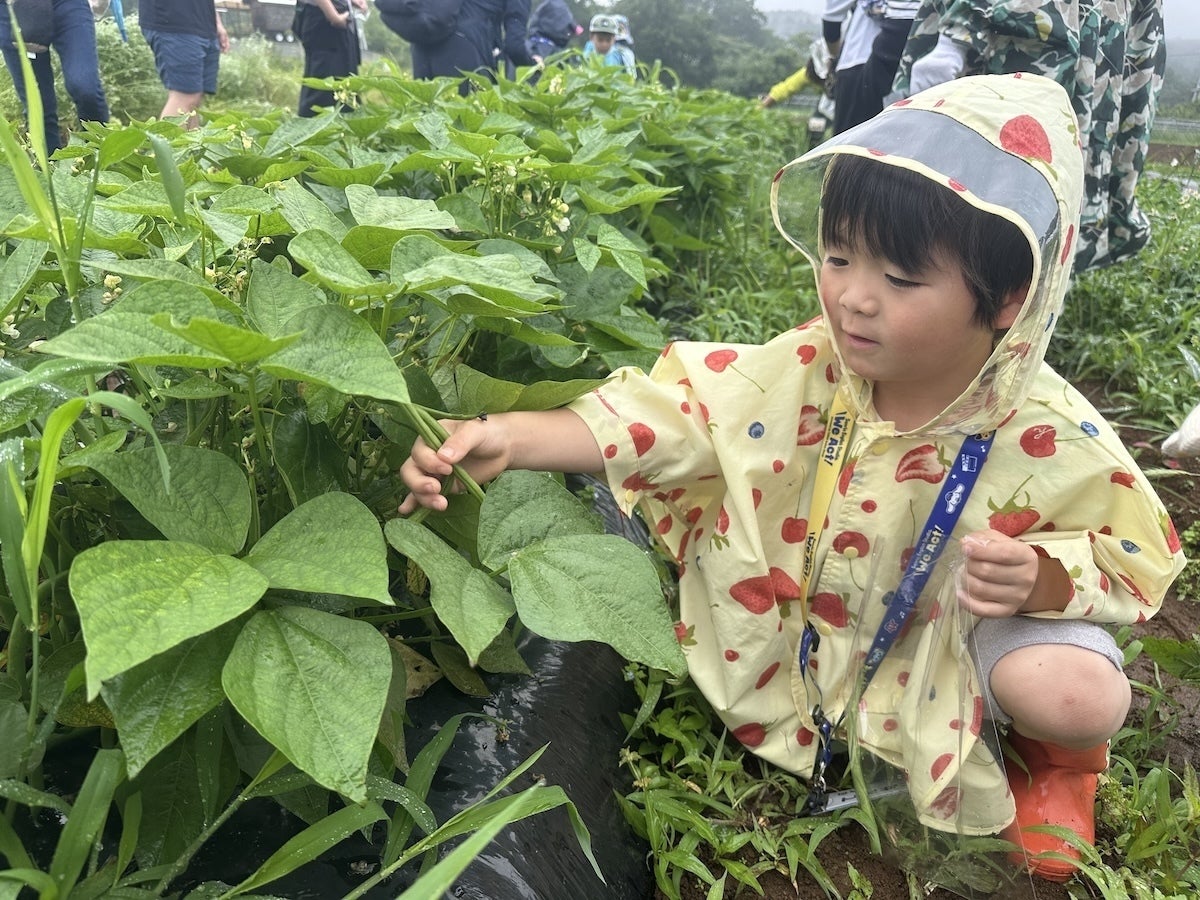 「変化したのは親の方かも」虫を追う5歳と過ごした自然体験1DAYスタディツアー