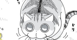 ギョロギョロ、ねりねり。猫じゃらしを前に、ネコより緊張しています