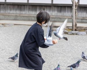 「ベランダで鳩に餌付けをする」50代女性の隣人が見せた、常識破りの迷惑行為「やけに鳩の鳴き声がうるさいと思ったら…」