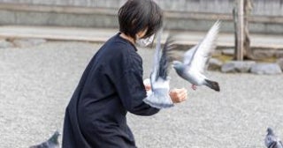 「ベランダで鳩に餌付けをする」50代女性の隣人が見せた、常識破りの迷惑行為「やけに鳩の鳴き声がうるさいと思ったら…」