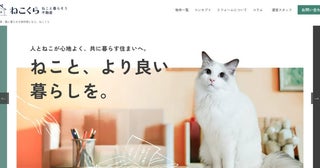 猫と住める部屋だけを集めた情報サイトダイセーホールディングス「ねこと暮らそう不動産(ねこくら)」オープン