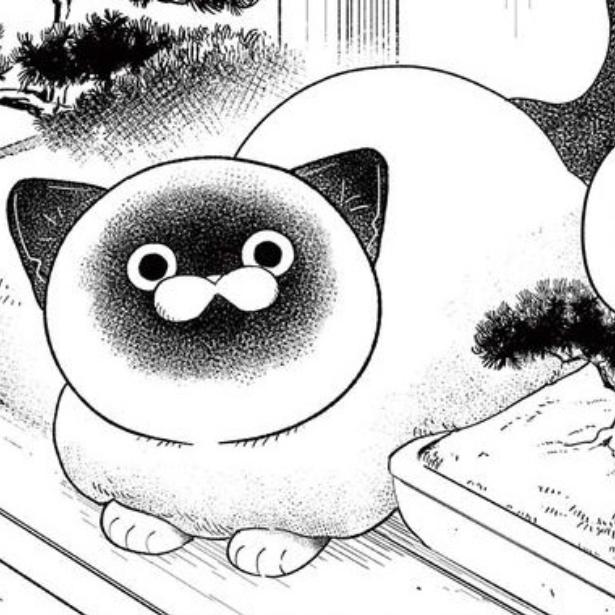 「組長なんて孤独だな」引退した組長のライバルは野良猫!?世知辛い世を生き抜いてきた者同士の戦いがすごい
