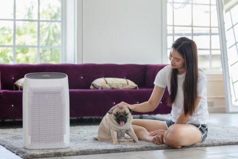 犬を飼い始めたのですが、24時間エアコンを付けるよう言われました。エアコンを365日つけっぱなしにした場合、年間の電気代はいくらくらい？