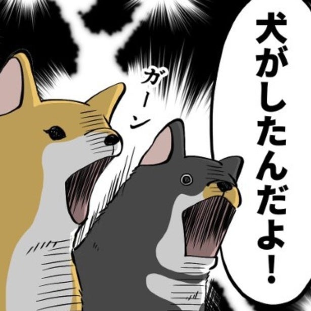「おならしたの誰!?」家族の疑いはなぜか柴犬へ…「冤罪ですワン」犬焦る！愛犬家たちの“冤罪あるある”コメントが集結【作者に聞く】