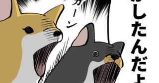 「おならしたの誰!?」家族の疑いはなぜか柴犬へ…「冤罪ですワン」犬焦る！愛犬家たちの“冤罪あるある”コメントが集結【作者に聞く】