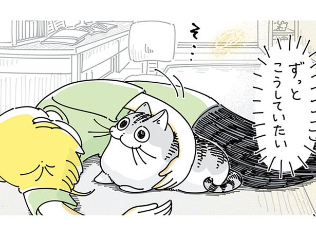 ようやく成功したネコとの添い寝。「ずっとこうしていたい」叶わぬ飼い主の願い