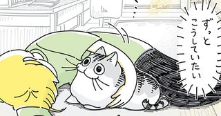 ようやく成功したネコとの添い寝。「ずっとこうしていたい」叶わぬ飼い主の願い