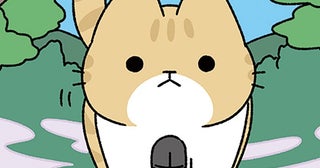 【ねこが顔を洗うと雨が降る】お供え物を前に現れるねこの神。どうか雨をお願いします！