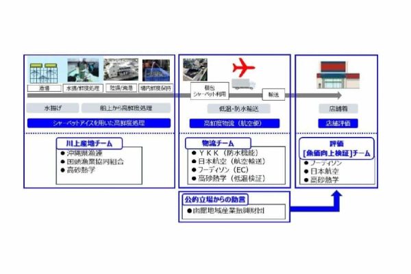 JALら、鮮魚の高鮮度輸送プロジェクト始動沖縄の鮮魚を航空機で輸送