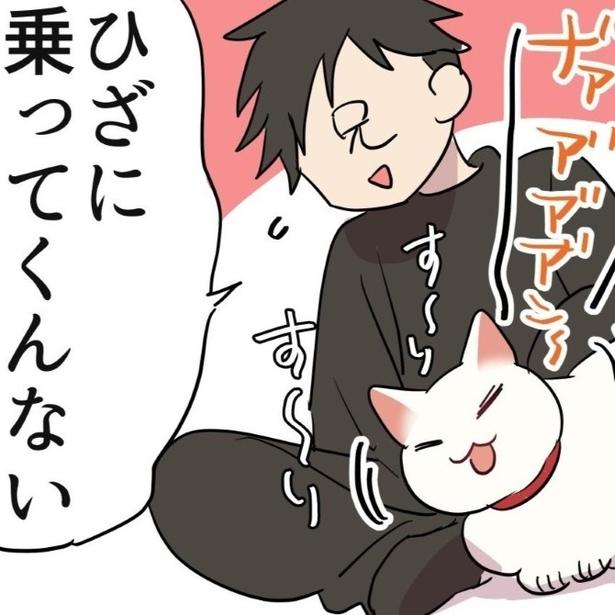 【ねこ漫画】悲報!!猫が膝に乗ってくれない…猫好きな兄の立ち位置は「尻担当」だった!?【作者に聞く】