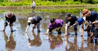 【コメ不足の今だからこそ体験してほしい!!】お米農家とコラボした「親子でお米の田植え体験イベント」