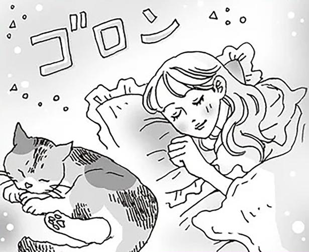 猫みたいに過ごしてみない？心も体もふわっと軽くなる、白川さんの週末セルフケア