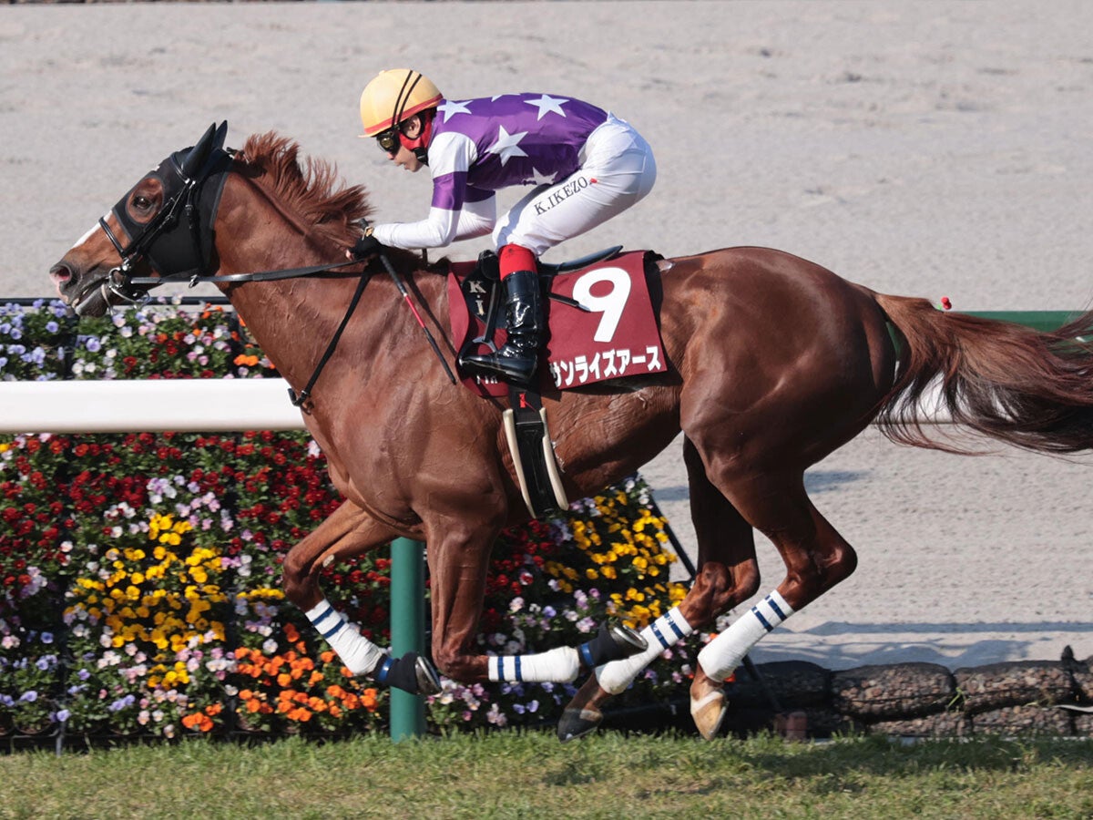 【競馬予想】ジャパンＣで注目すべき血統は？世界１位の欧州代表馬に対抗できそうな２頭をピックアップ