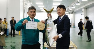 歴代最高額タイの400万円天然能登寒ブリの最高峰