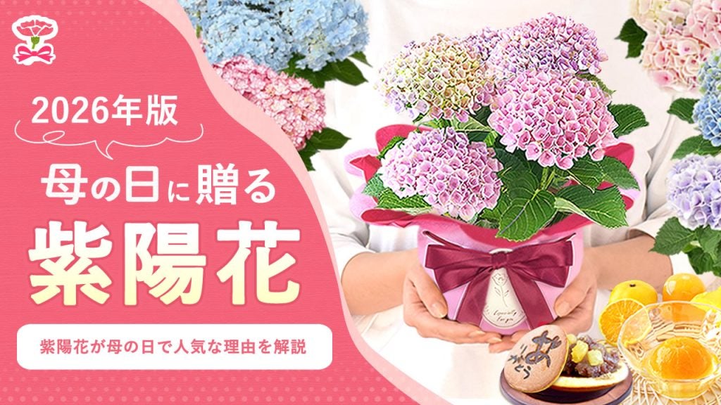 母の日ギフトに“紫陽花”が急浮上？カーネーション一強時代に変化の兆しか