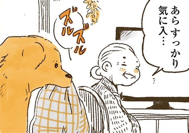 ひんやりマットをくわえて移動！レトリバーの目的にほっこり