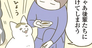 わがままな先輩猫がキャットフードを拒否！後輩猫に分け与えたら