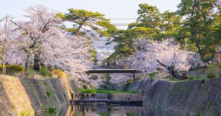 関西「住み続けたい街ランキング2026年版」発表！ 1位「さくら夙川」や『成瀬』旋風で沸く「膳所」が住民に愛される理由