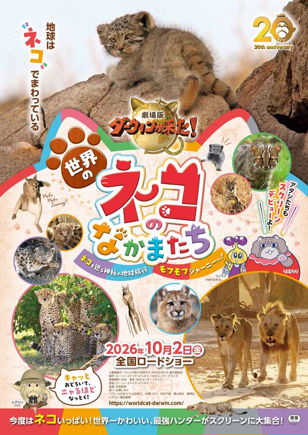 「ダーウィンが来た！」の映画化第6弾の主人公はネコ科動物たち！『劇場版ダーウィンが来た！世界のネコのなかまたち』公開決定