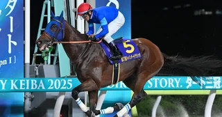 【競馬予想】ＧＩチャンピオンズカップで人気の３歳馬ナルカミとルクソールカフェはどっちが強いのか