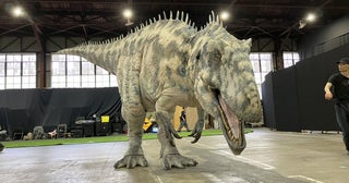 体験型“恐竜”ライブエンターテインメント「DINO SAFARI 2024」GWに渋谷で開催！