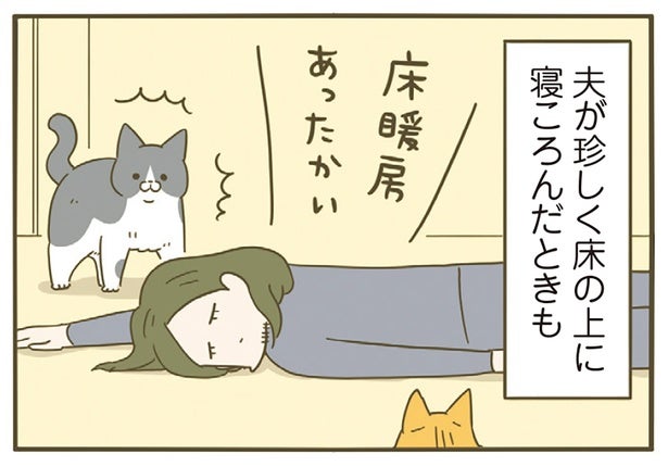 基本小心者な愛猫。床の上に寝転んだ夫と目を合わせてくれなくて？