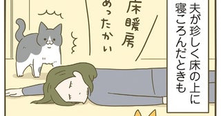 基本小心者な愛猫。床の上に寝転んだ夫と目を合わせてくれなくて？