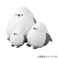 ニトリ「Nクールぬいぐるみ」に新作登場！今年はチンアナゴやかっぱが仲間入り