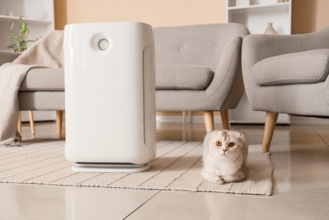 ペットの熱中症対策でエアコンを“24時間つけっぱなし”にしています。「こまめに消すより節約になる」と聞きましたが、1ヶ月の電気代はどれくらいになるのでしょうか？