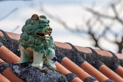 沖縄へ移住し転職したところ、年収は「600万円」から「400万円」に！ 50代でこれくらいの年収は普通なのでしょうか？