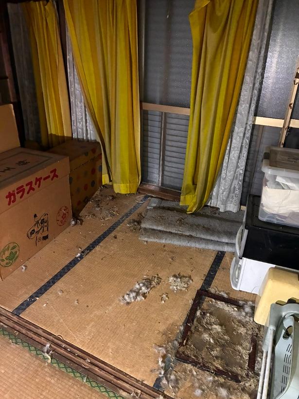 家にクマ…!?空き巣に放火…!?空き家問題が深刻な理由を調査！